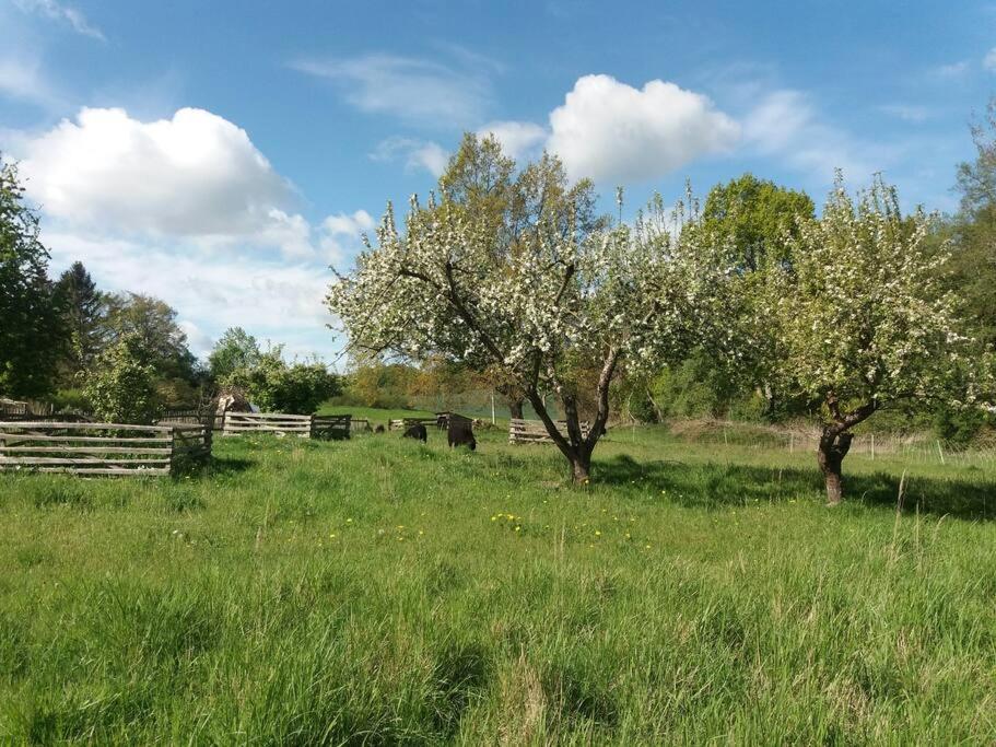 Moderne Wohnung im Herzen der Natur - Ingo's Dream Babelin Exterior foto